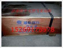 410800040001,电喷发动机缸盖总成,济南裕丰汽车配件销售中心