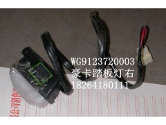 WG9123720003,踏板灯,济南百思特驾驶室车身焊接厂