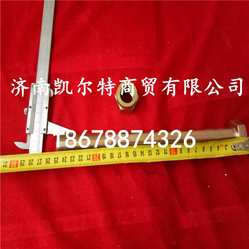 供应北方奔驰长推力杆螺栓190003803974/190003803974M20*250