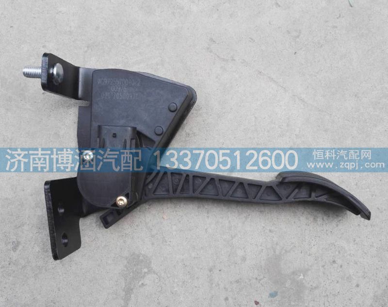 電子油門(mén)踏板WG9725570010/WG9725570010