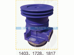 612600061728,水泵总成,山东泵之星动力有限公司