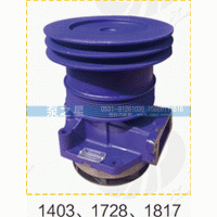 612600061728,水泵总成,山东泵之星动力有限公司