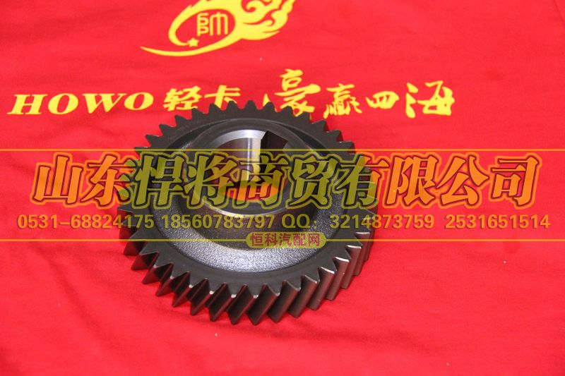 6TS55-2511,中间轴常啮合齿轮,山东悍将商贸有限公司