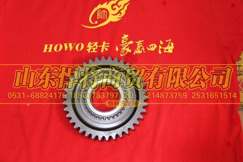 6TS55-3810,倒档齿轮,山东悍将商贸有限公司