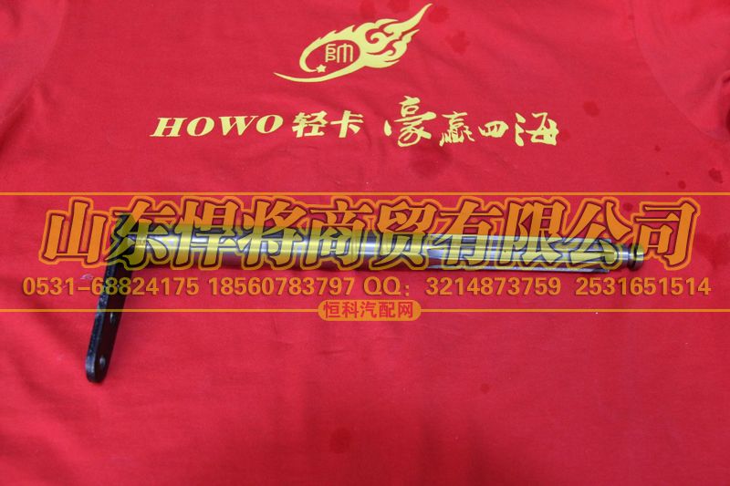 6TS55-6070A42换档轴总成【HOWO豪沃轻卡】图1
