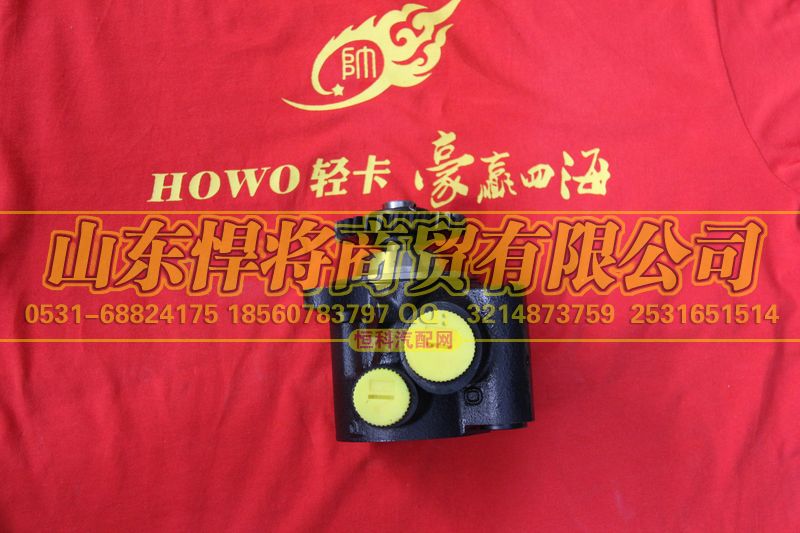 LG9716470031,HOWO豪沃轻卡转向助力泵,山东悍将商贸有限公司