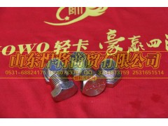 WB623M24,HOWO豪沃轻卡磁性放油螺塞,山东悍将商贸有限公司