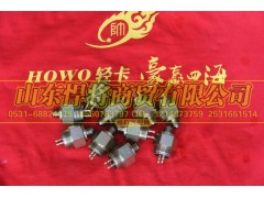 WK-11,HOWO豪沃轻卡倒车灯开关,山东悍将商贸有限公司