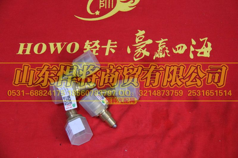 WK-114,HOWO豪沃轻卡倒车灯开关,山东悍将商贸有限公司