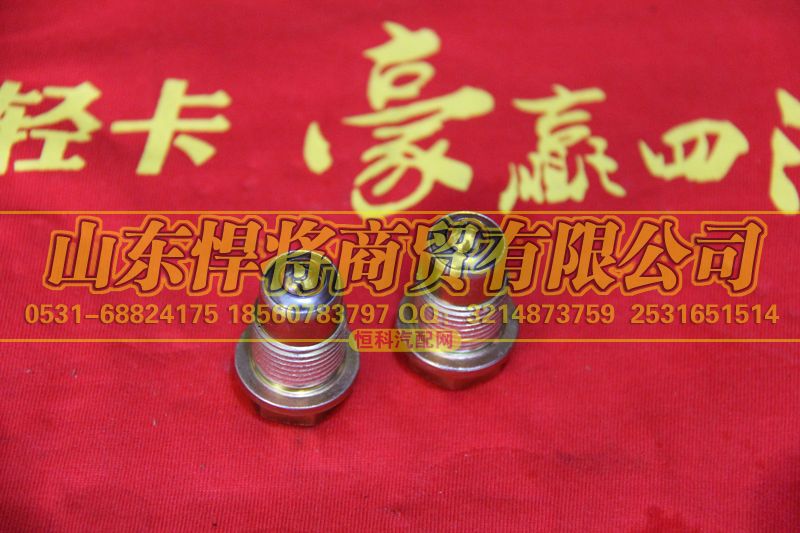 WTZ18X11A1-12S180T,HOWO豪沃轻卡自锁装置,山东悍将商贸有限公司
