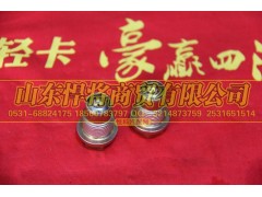WTZ18X11A1-12S180T,HOWO豪沃轻卡自锁装置,山东悍将商贸有限公司