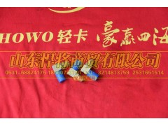 AZ2210251904,HAOWO豪沃轻卡快装接头,山东悍将商贸有限公司