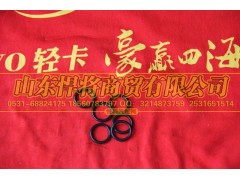 AZ9003071924,HOWO豪沃轻卡O型密封圈,山东悍将商贸有限公司