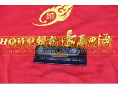 LG1611330025,左前门拉手盖板,山东悍将商贸有限公司