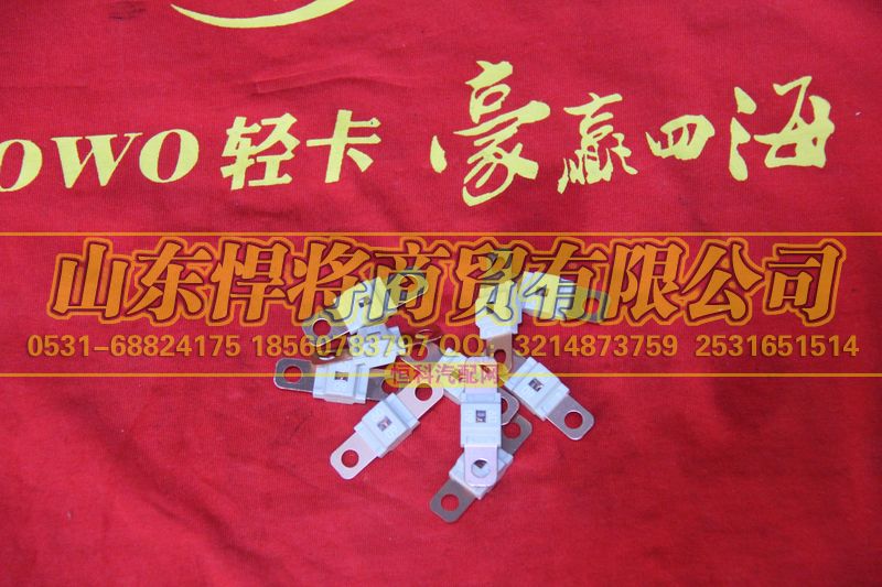 LG9704770082,80A保险片,山东悍将商贸有限公司