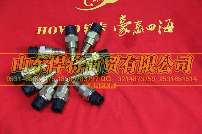 WK-102,HOWo豪沃轻卡空档开关(插接口),山东悍将商贸有限公司
