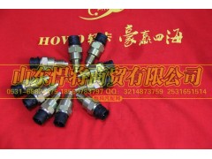 WK-102,HOWo豪沃轻卡空档开关(插接口),山东悍将商贸有限公司