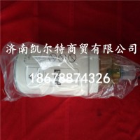 供應(yīng)重汽發(fā)動機燃油濾芯VG1540080311