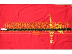 LG1611110012,HOWO豪沃轻卡面罩左密封条,山东悍将商贸有限公司