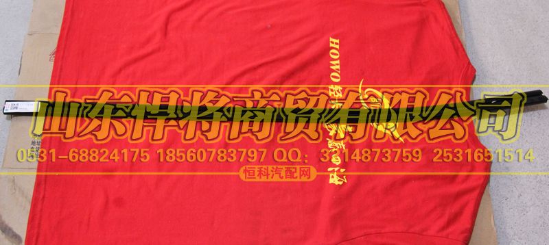 LG1611330012,HOWO豪沃轻卡右车门内密封条,山东悍将商贸有限公司