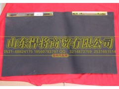 LG1613110070,HOWO豪沃轻卡宽体面罩挡水板总成,山东悍将商贸有限公司