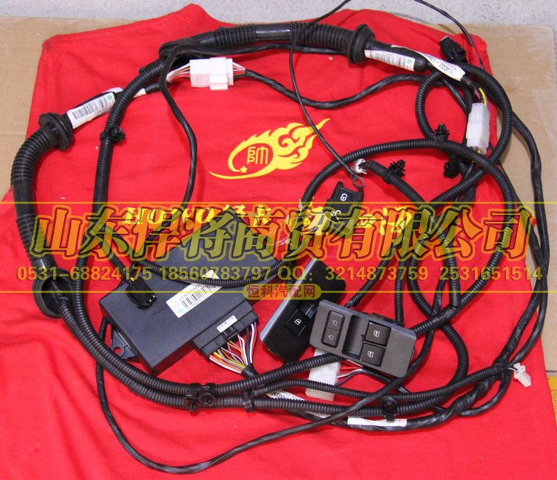 LG1611338037,HOWO豪沃轻卡24V门控控制器,山东悍将商贸有限公司