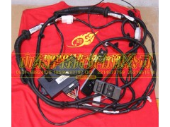 LG1611338037,HOWO豪沃轻卡24V门控控制器,山东悍将商贸有限公司