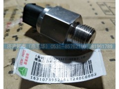202V27421-0263,燃油传感器,济南领泰（原玉华）汽车零部件有限公司