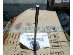 080V04101-0537,进气门,济南领泰（原玉华）汽车零部件有限公司