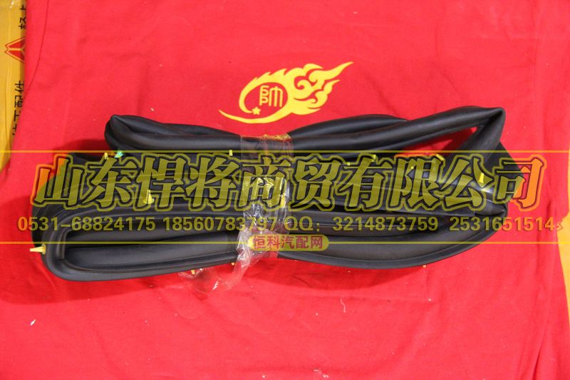 LG1611330007,HAOWO豪沃轻卡左车门密封条总成,山东悍将商贸有限公司