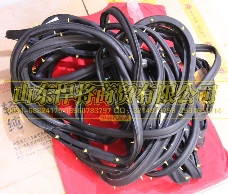 LG1611330007,HAOWO豪沃轻卡左车门密封条总成,山东悍将商贸有限公司