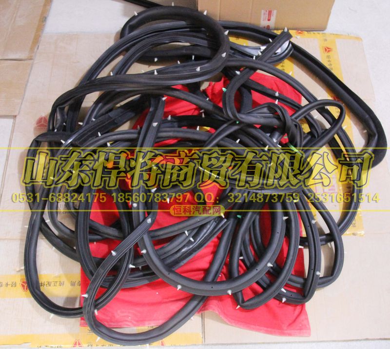 LG1611330008,HAOWO豪沃轻卡右车门密封条总成,山东悍将商贸有限公司