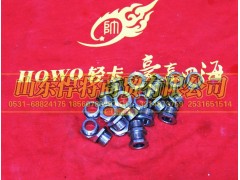 LG9700362509,HOWO豪沃轻卡螺母座KM22,山东悍将商贸有限公司