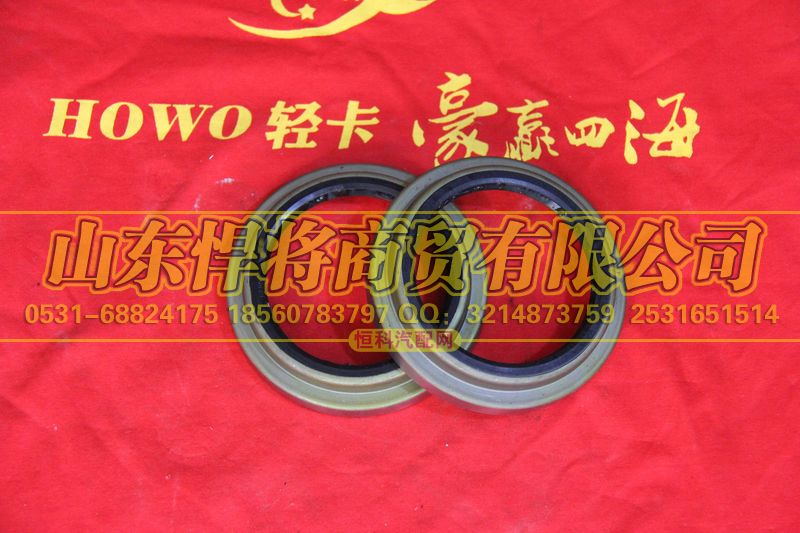310403002A,HOWO豪沃轻卡后轮毂内油封总成,山东悍将商贸有限公司