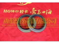 310403002A,HOWO豪沃轻卡后轮毂内油封总成,山东悍将商贸有限公司