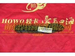 LG9704930003,HOWO豪沃轻卡前牵引钩,山东悍将商贸有限公司