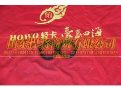 31J-04081,HOWO豪沃轻卡半轴油封,山东悍将商贸有限公司