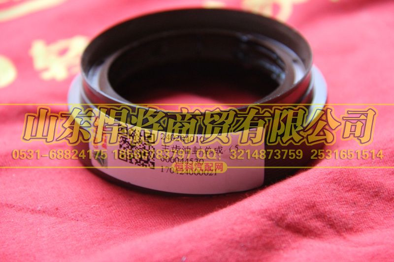 240204010,HOWO豪沃轻卡主齿油封总成,山东悍将商贸有限公司