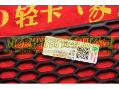 LG1612240205,高端中体保险杠装饰网,山东悍将商贸有限公司