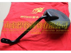 LG1613770053,HOWO豪沃轻卡前下视镜,山东悍将商贸有限公司