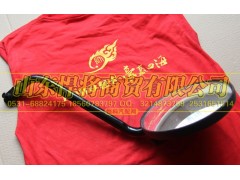LG1613770053,HOWO豪沃轻卡前下视镜,山东悍将商贸有限公司