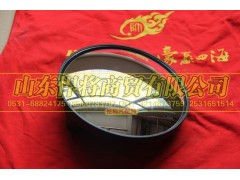LG1613770053,HOWO豪沃轻卡前下视镜,山东悍将商贸有限公司