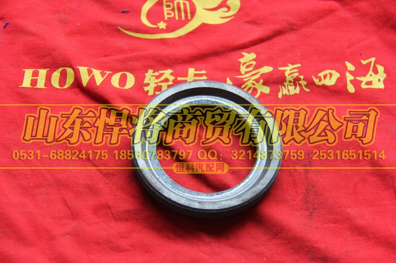 2402C-381,HAOWO豪沃轻卡调整螺母-差速器轴承调整螺母,山东悍将商贸有限公司
