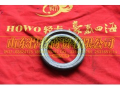 2402C-381,HAOWO豪沃轻卡调整螺母-差速器轴承调整螺母,山东悍将商贸有限公司