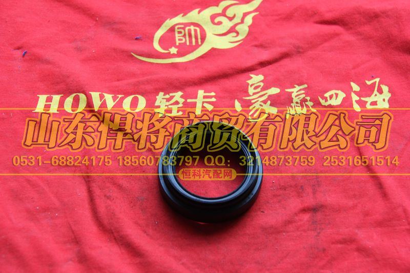 2402Q01-060-F,HAOWO豪沃轻卡油封总成,山东悍将商贸有限公司