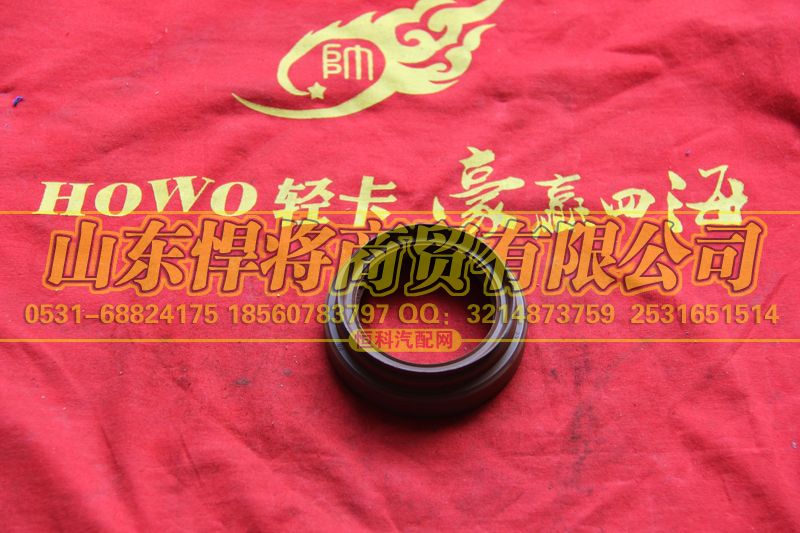 3507D5-075,HAOWO豪沃轻卡主轴锥齿轮油封总成,山东悍将商贸有限公司