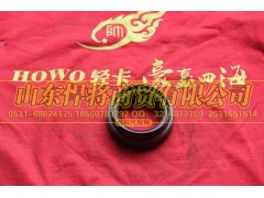 3507D5-075,HAOWO豪沃轻卡主轴锥齿轮油封总成,山东悍将商贸有限公司