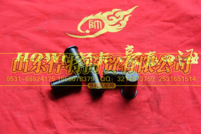 102013010-10,HOWO豪沃轻卡滚轮轴,山东悍将商贸有限公司