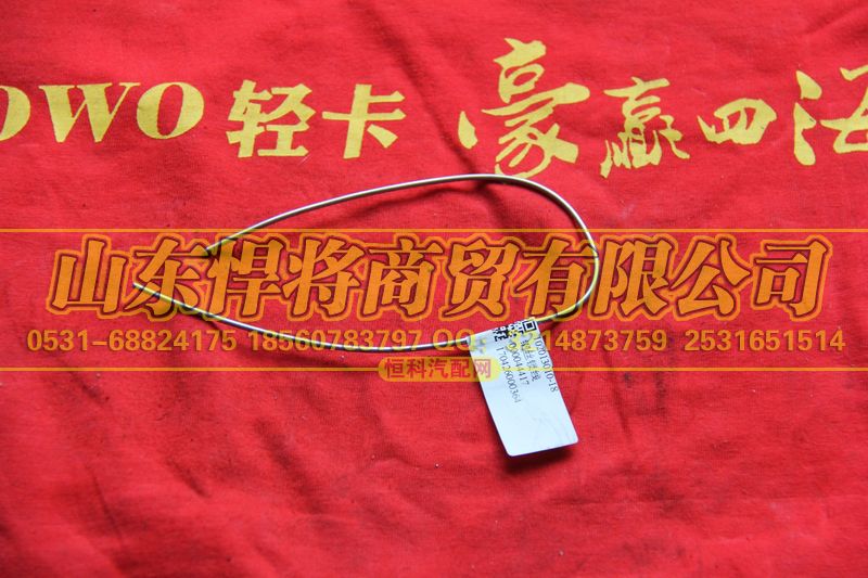 102013010-18,HAOWO豪沃轻卡钢丝锁线,山东悍将商贸有限公司