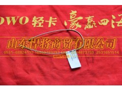 102013010-18,HAOWO豪沃轻卡钢丝锁线,山东悍将商贸有限公司